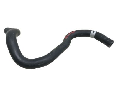 Acura 19502-5YF-A01 HOSE, WATER (UPPER)