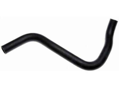 Acura 19502-RDA-A50 Hose, Water (Lower)