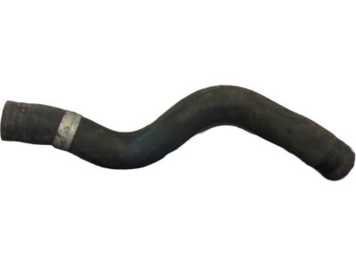 Acura 19501-R8A-A01 Hose, Water (Upper)