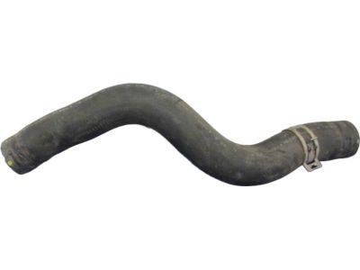 Acura 19501-R8A-A01 Hose, Water (Upper)