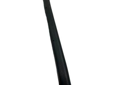 Acura 72810-TGV-A01 Weatherstrip, Right Rear