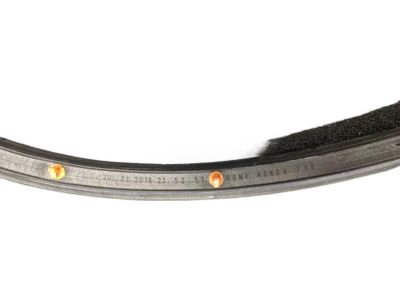 Acura 72350-TZ5-A11 Weatherstrip, Left Front Door