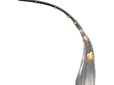 Acura 72350-TZ5-A11 Weatherstrip, Left Front Door