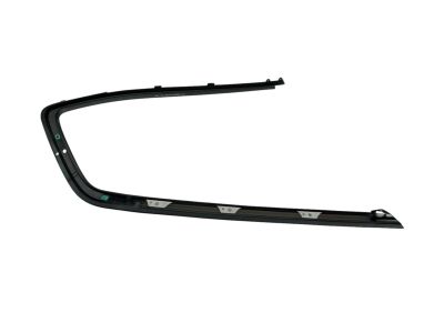 Acura 73510-TL4-G01 Molding Assembly R, Quarter W