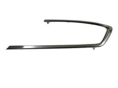 Acura 73510-TL4-G01 Molding Assembly R, Quarter W