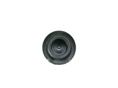 Honda 95551-20000 Plug, Blind (20MM)