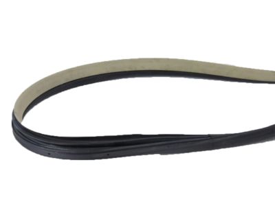 Acura 72365-SEP-A11 Sub-Seal, Left Front Door