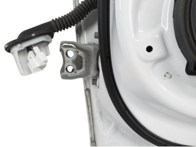 Acura 67010-TX4-A90ZZ Panel, Right Front Door (Dot)