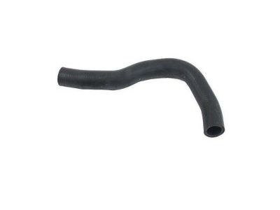 Acura 19501-PND-000 Hose, Water (Upper)