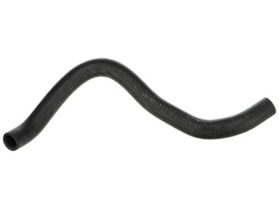 Acura 19502-58K-H00 Hose, Water (Lower)