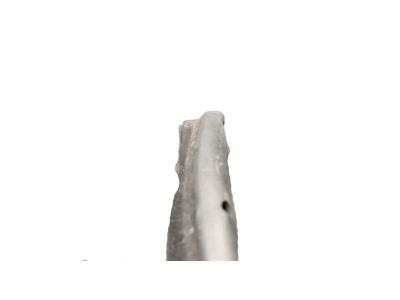 Acura 72350-TJB-A01 Weatherstrip, Left Front Door