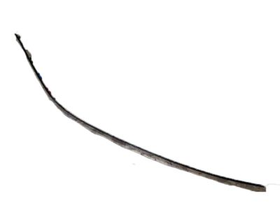 Acura 73168-SEA-003 Molding, Driver Side Drip Side