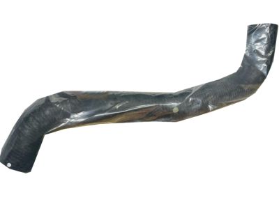 Acura 19502-PR7-A01 Hose, Water (Lower) (White Painted)