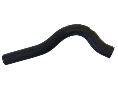 Acura 19501-P73-010 Hose, Water (Upper)