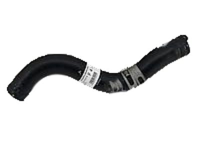 Acura 19501-RDF-A01 Hose, Water (Upper)