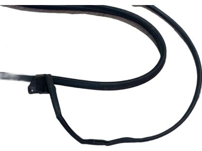 Acura 72850-TJB-A01 Weatherstrip, Rear Left Door