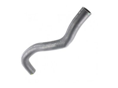 Acura 19501-RL5-A01 Hose, Water (Upper)