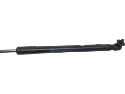 Acura 74195-TGV-A01 Damper Assembly, Driver Side