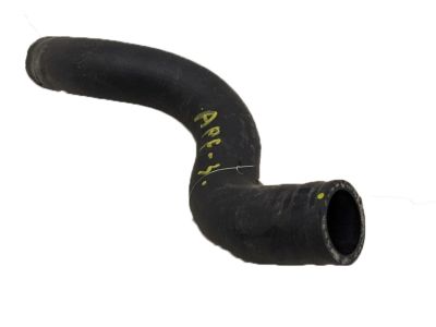 Acura 19501-5YF-A01 HOSE, WATER (UPPER)