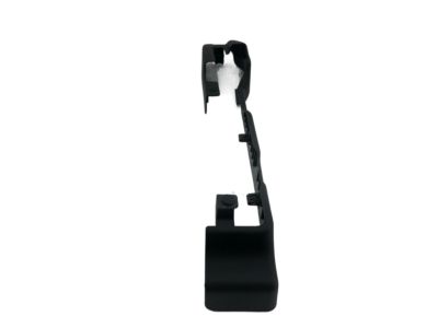 Acura 81669-TK4-A11ZB Cover, Driver Side Rail (Upper) (Outer) (Premium Black)