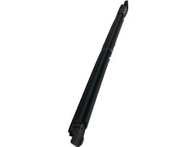 Acura 72875-TGV-A01 Weatherstrip, Left Rear