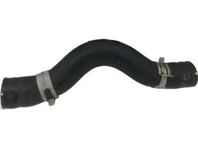 Acura 19501-R4H-A00 Hose, Water (Upper)