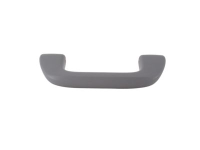 Acura 83240-SNA-A01YE Grab Rail Assembly (Light Jewel Gray)