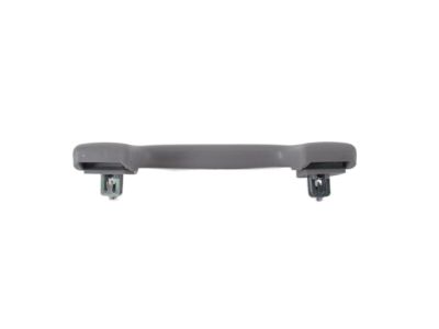 Acura 83240-SNA-A01YE Grab Rail Assembly (Light Jewel Gray)