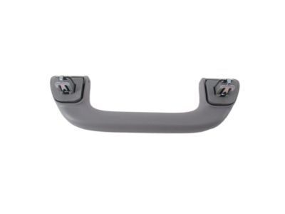 Acura 83240-SNA-A01YE Grab Rail Assembly (Light Jewel Gray)