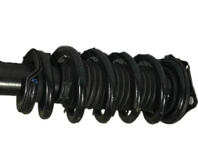 Acura 51401-TGV-A01 Spring, Front
