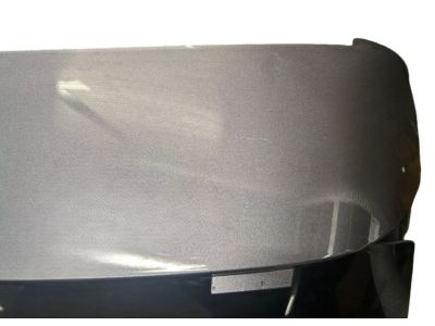 Acura 68100-TJB-A93ZZ TAILGATE (DOT)