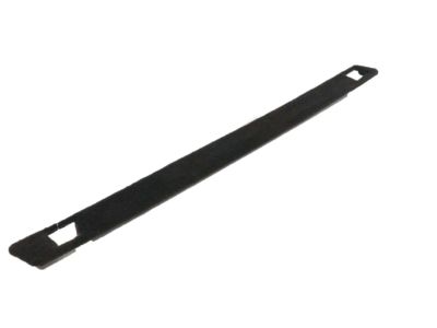 Acura 84611-TZ5-A01ZB Strip, Passenger Side (Premium Black)