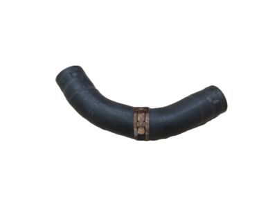 Acura 19502-5J2-A50 Hose A, Water Lowe