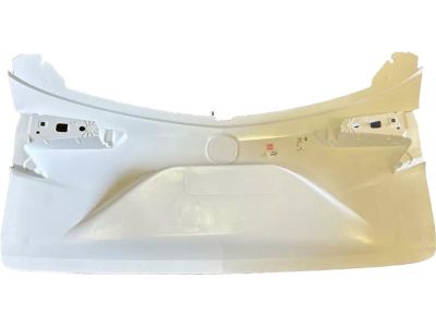Acura 68100-TJB-A01SP Tailgate Complete (Dot)