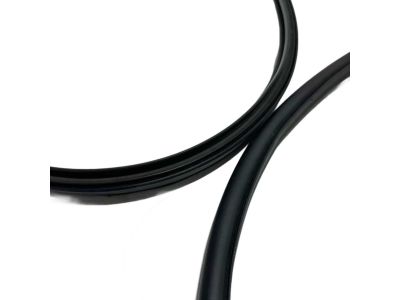 Acura 72350-TGV-A01 Weatherstrip, Left Front