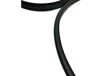 Acura 72350-TGV-A01 Weatherstrip, Left Front