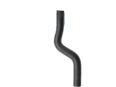 Acura 19501-P6W-A01 Hose, Water (Upper)