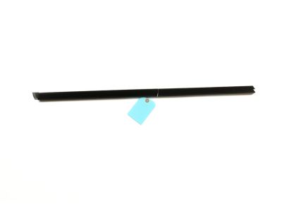 Honda 72335-T20-A01 WEATHERSTRIP, R- FR