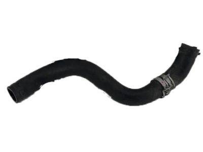 Acura 19502-RK1-A00 Hose, Water (Lower)