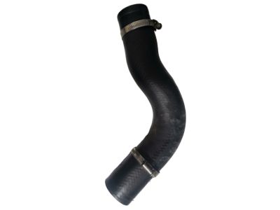 Acura 17293-6B2-A01 HOSE, INTERCOOLER OUTLET (B)