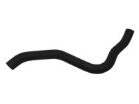 OEM 2010 Acura TL Hose, Water (Lower) - 19502-RK2-A00