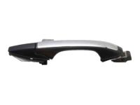 OEM Acura TSX Handle Assembly, Left Front Door (Outer) (Arctic Blue Pearl) - 72180-SEC-A01ZB