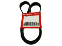 OEM 2004 Acura RL Belt, Acg (5Pk935) - 31110-PY3-A02