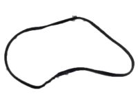 OEM Acura TLX Weatherstrip Left, Front Door - 72350-TZ3-A01