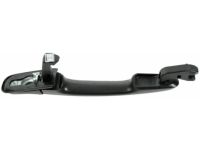 OEM 2003 Acura RL Handle, Driver Side (Nighthawk Black Pearl) - 72188-SZ3-003ZX