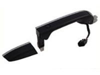 OEM 2009 Acura TL Handle, Right Front (Outer) (Crystal Black Pearl) (Smart) - 72141-TK4-A11ZD