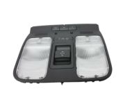 OEM Acura TL Lighting Assembly (Gun Metallic) - 83253-SEP-A12ZA