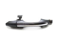 OEM 2006 Acura RL Handle Complete Driver Side (Lakeshore Silver Metallic) - 72181-SJA-A04ZG