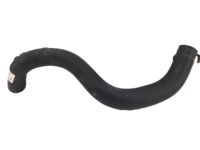 OEM Acura ILX Hose, Water Lower - 19502-R4H-A00