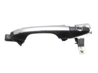 OEM 2007 Acura TSX Handle Assembly, Left Front Door (Outer) (Carbon Gray Pearl) - 72180-SEC-A01ZG